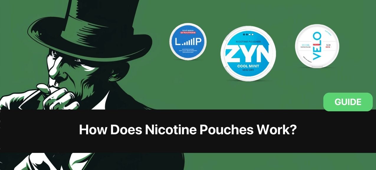 https://www.snusdaddy.eu/media/amasty/blog//113/How_Does_Nicotine_Pouches_Work.jpg