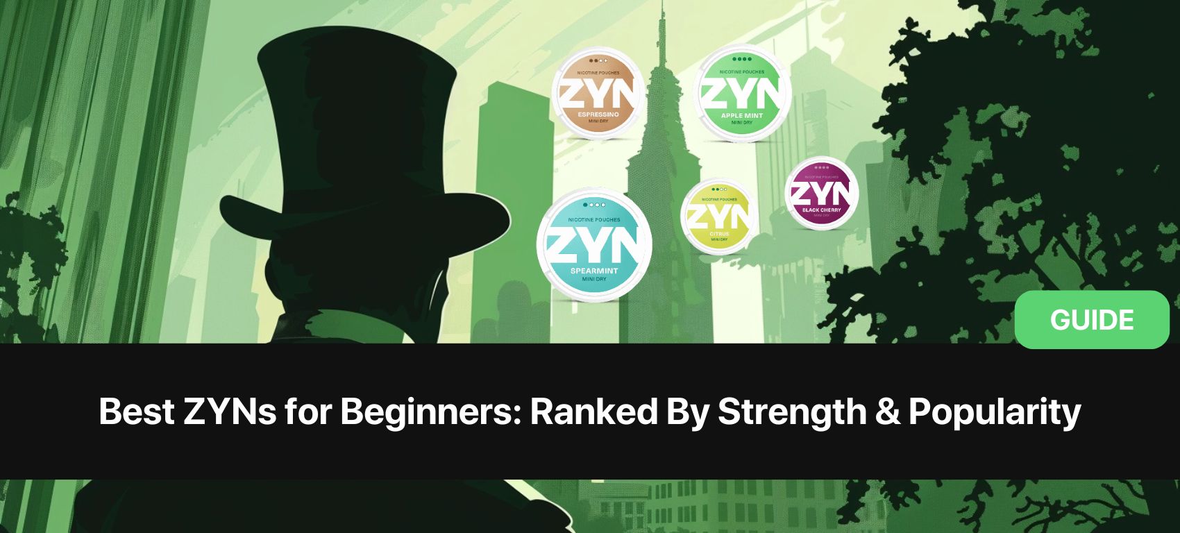 Best ZYNs for Beginners: Ranked By Strength & Popularity 2024