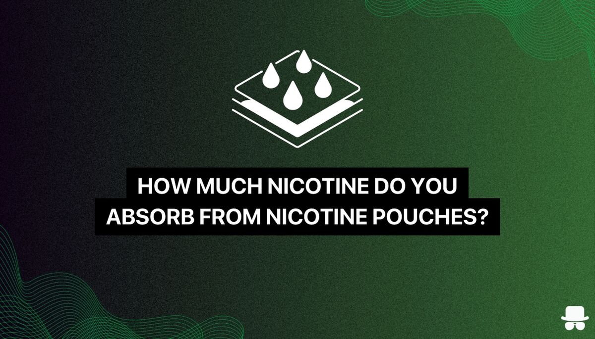 https://www.snusdaddy.eu/media/amasty/blog//126/nicotine_pouches_how_much_nicotine_do_you_absorb.jpg