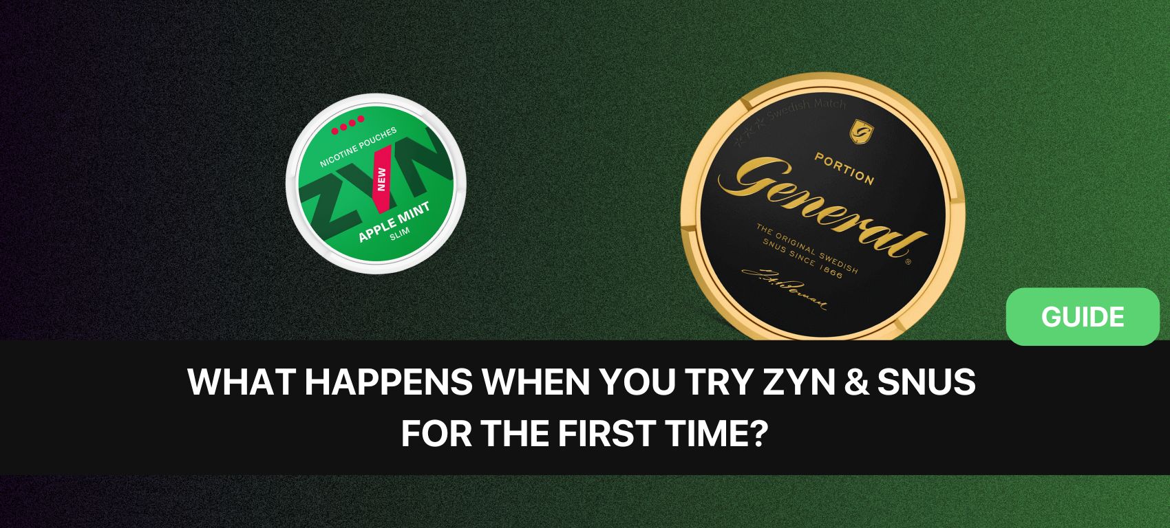 What Happens When You Try ZYN & Snus For The First Time?