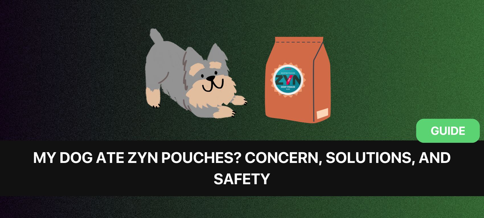 https://www.snusdaddy.eu/media/amasty/blog//135/My_Dog_Ate_ZYN_Pouches_Concern_Solutions_and_Safety.jpg