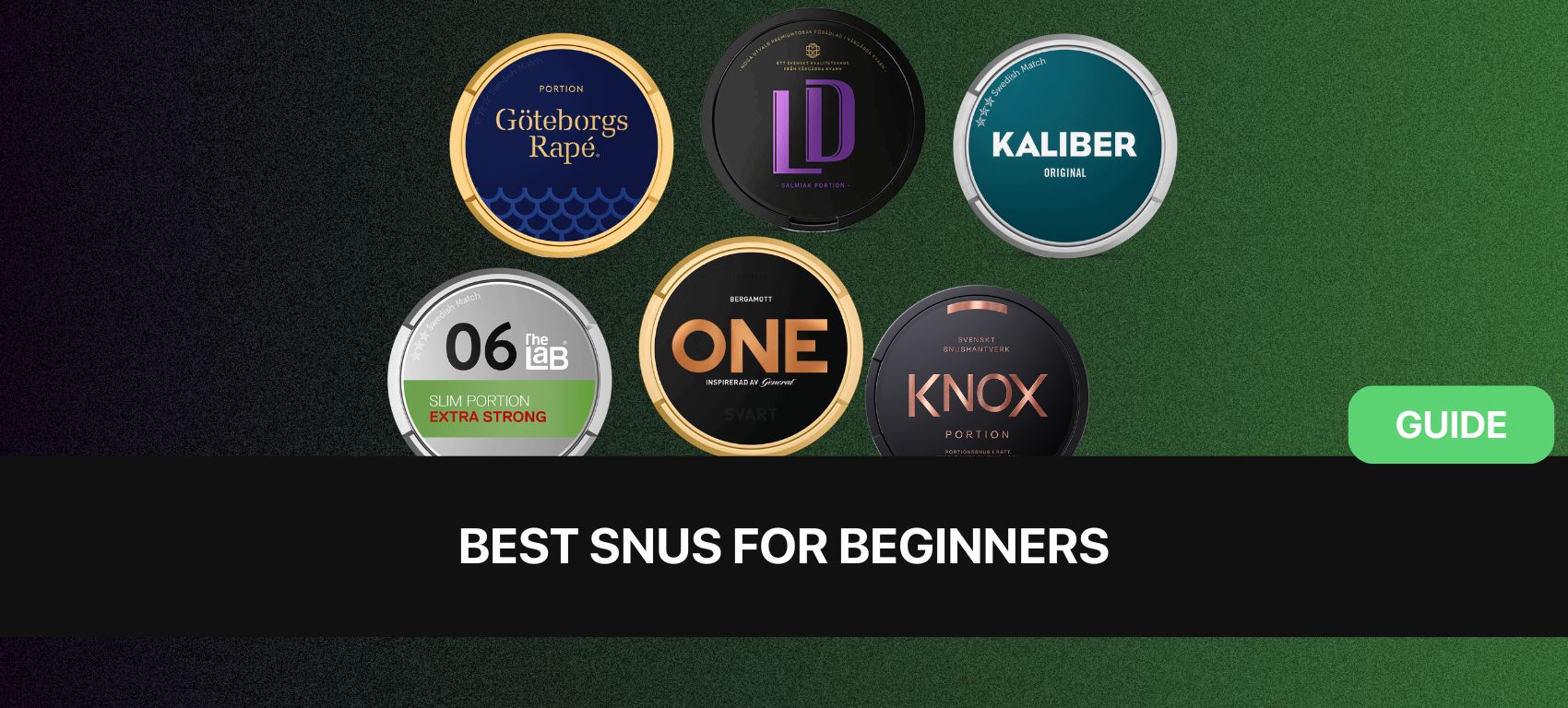 Best Snus for Beginners | The #1 Beginners Guide for 2025