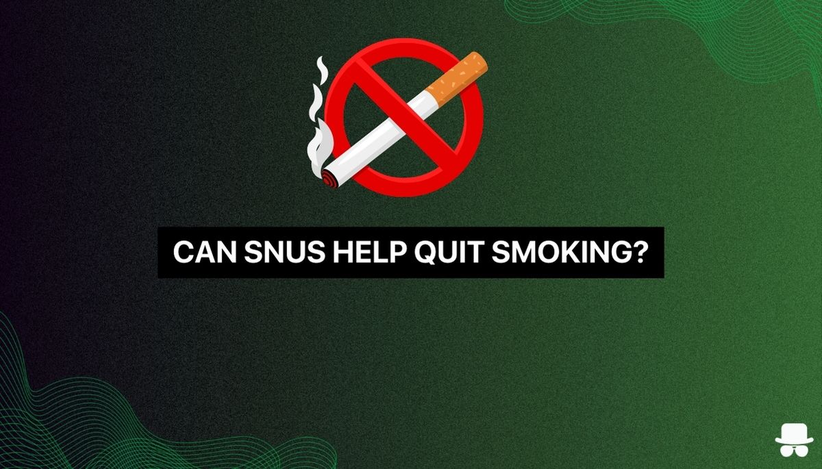 can snus help stop smoking